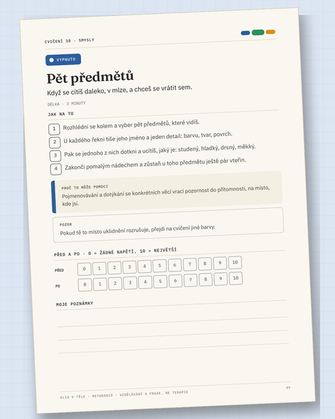 41 cvičení pro bloudivý nerv: pět předmětů (ukázková stránka)